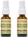 Honey Gardens Bee Propolis Throat Spray | with Apitherapy Raw Honey, Licorice Root and Usnea | 50 Servings | 1 Fl Oz | Pack of 2